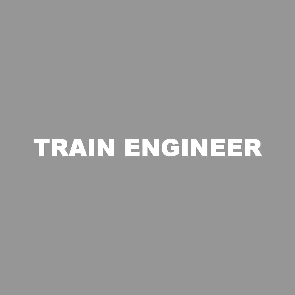 TRAIN ENGINEER