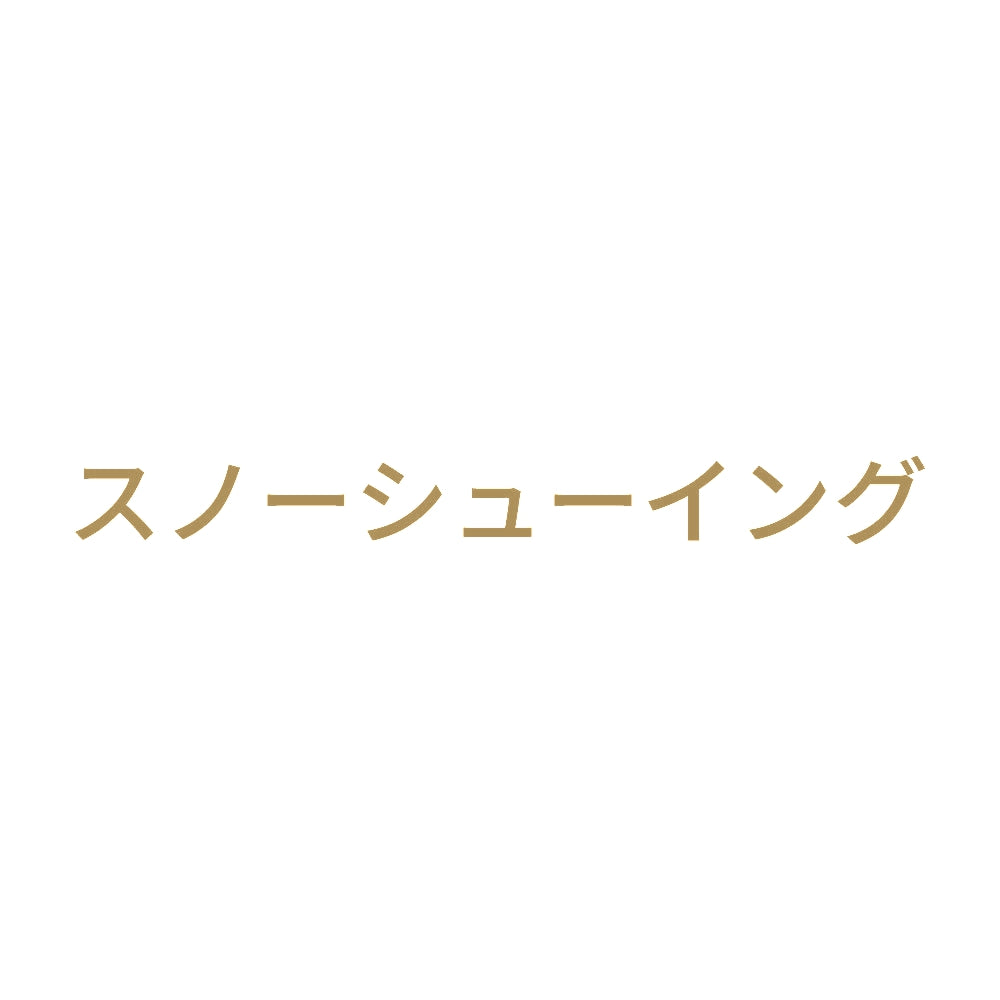 スノーシューイング