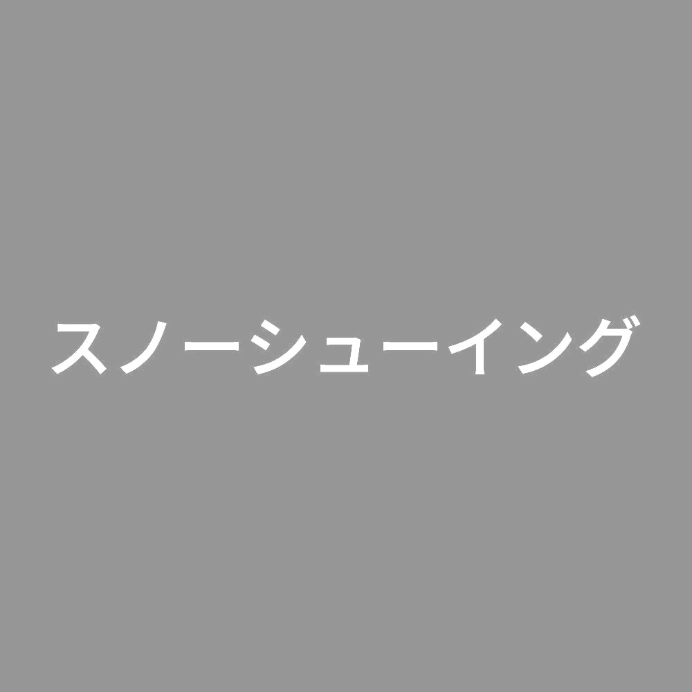 スノーシューイング