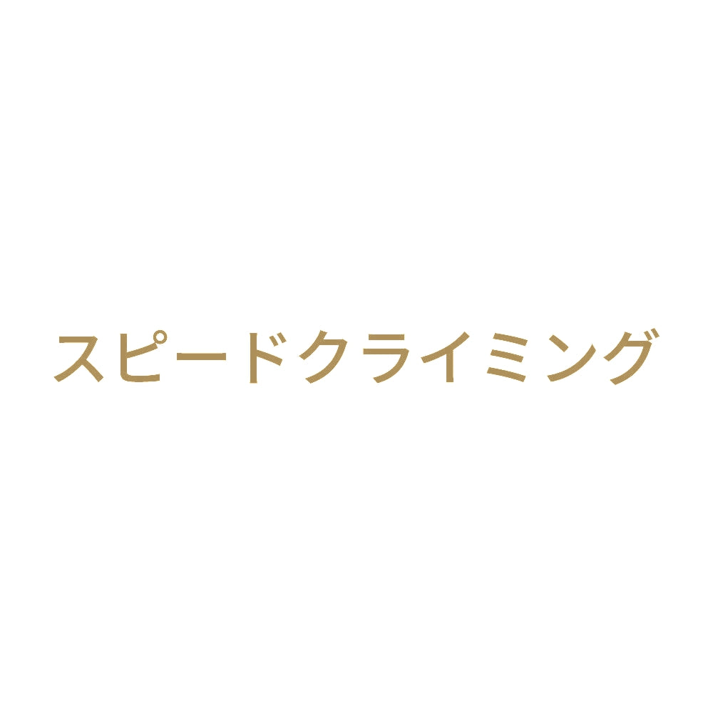 スピードクライミング