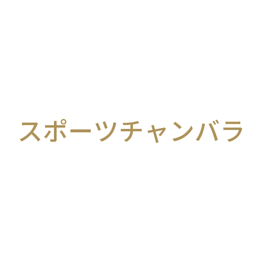 スポーツチャンバラ