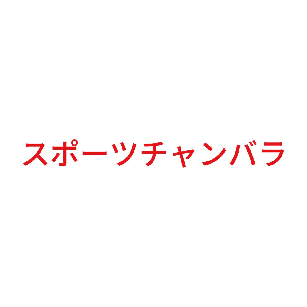 スポーツチャンバラ