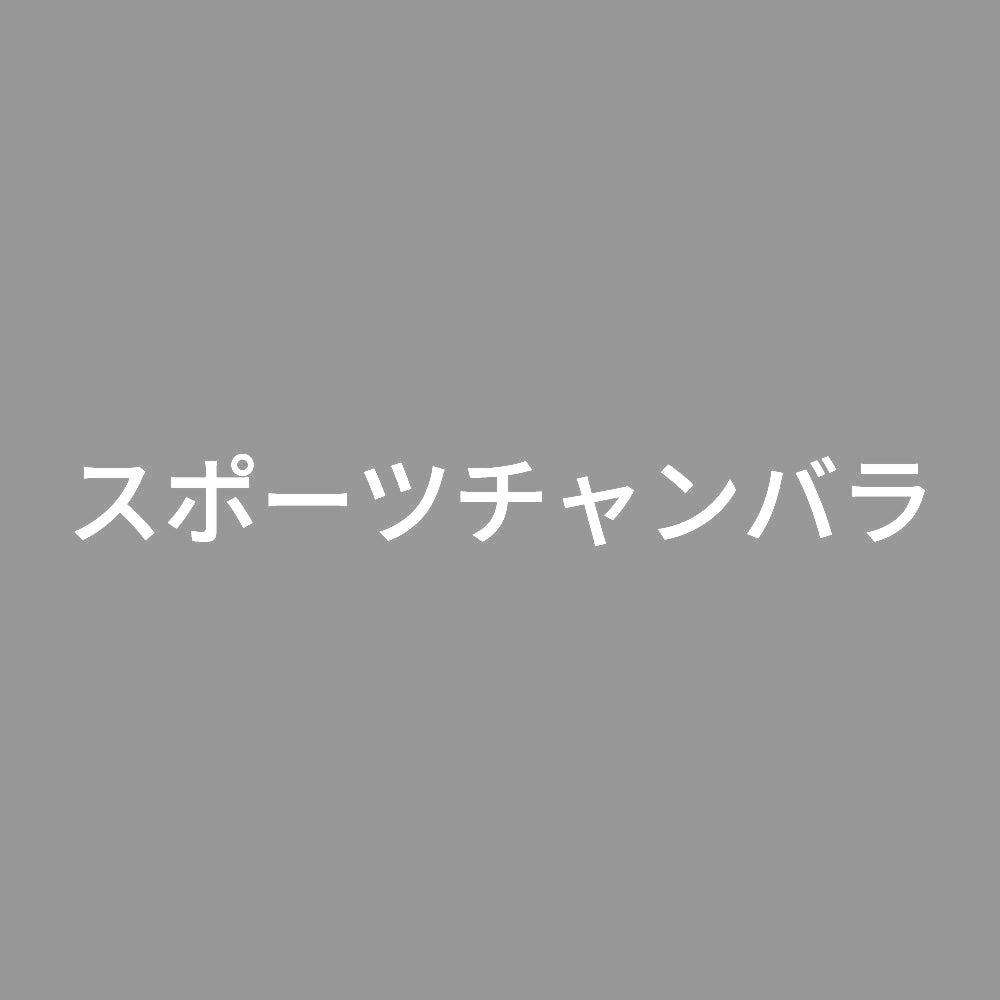 スポーツチャンバラ