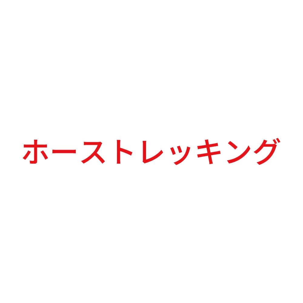 ホーストレッキング