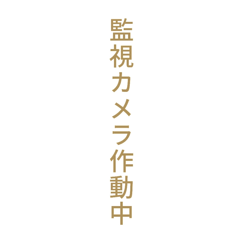 監視カメラ作動中 縦