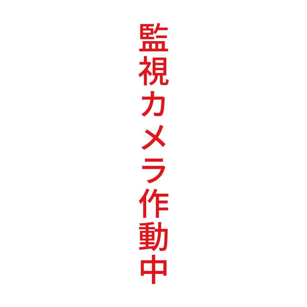 監視カメラ作動中 縦