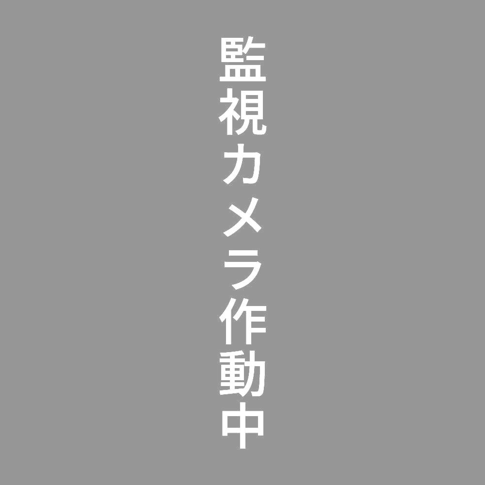 監視カメラ作動中 縦