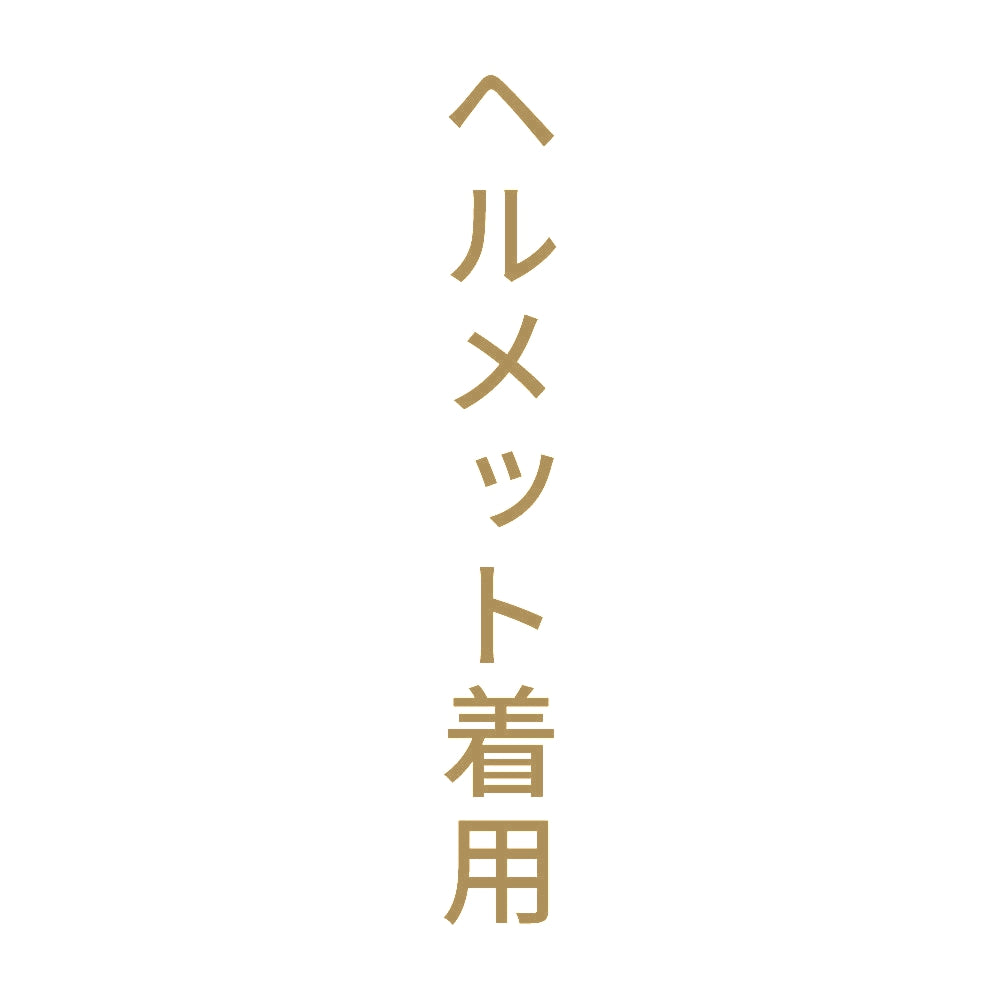 ヘルメット着用 縦