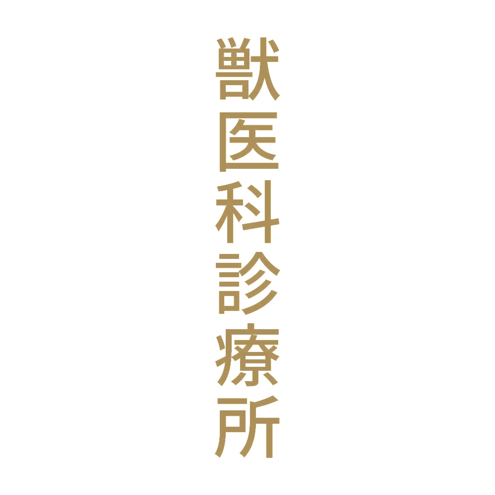 獣医科診療所 縦