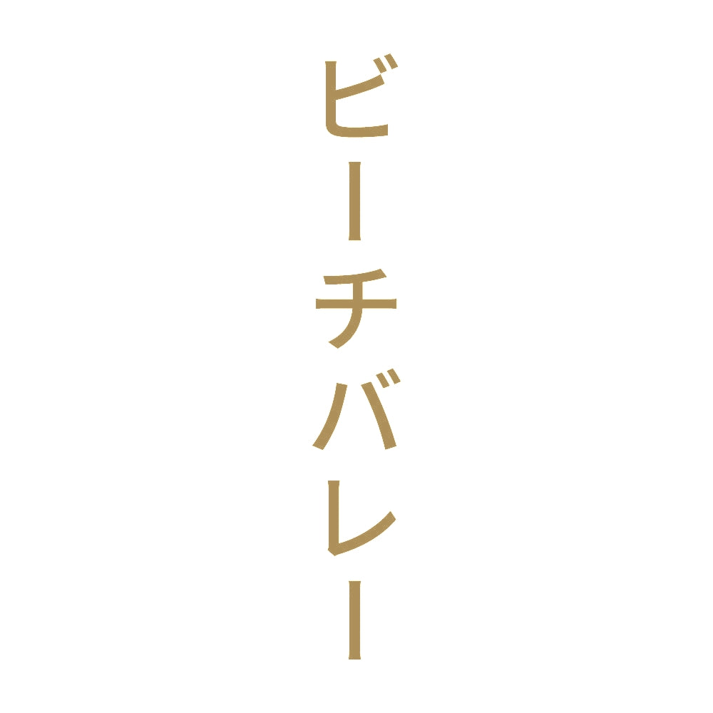 ビーチバレー 縦