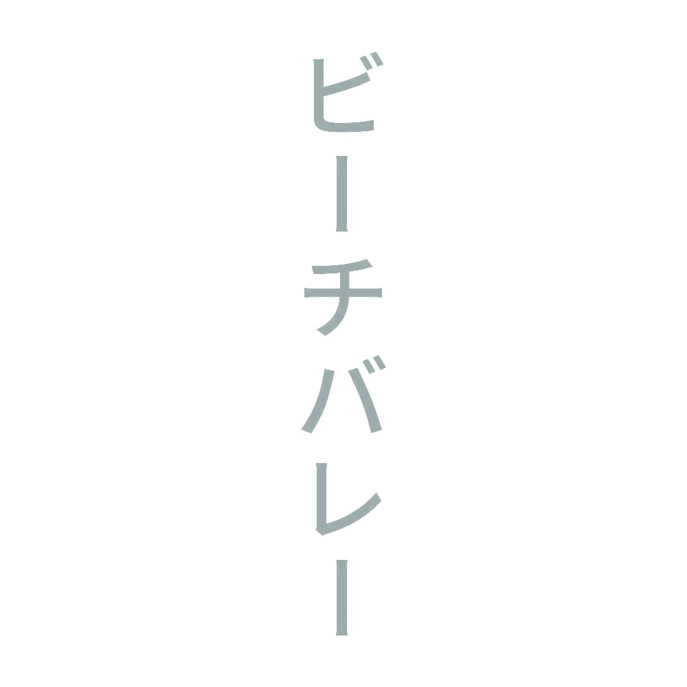ビーチバレー 縦