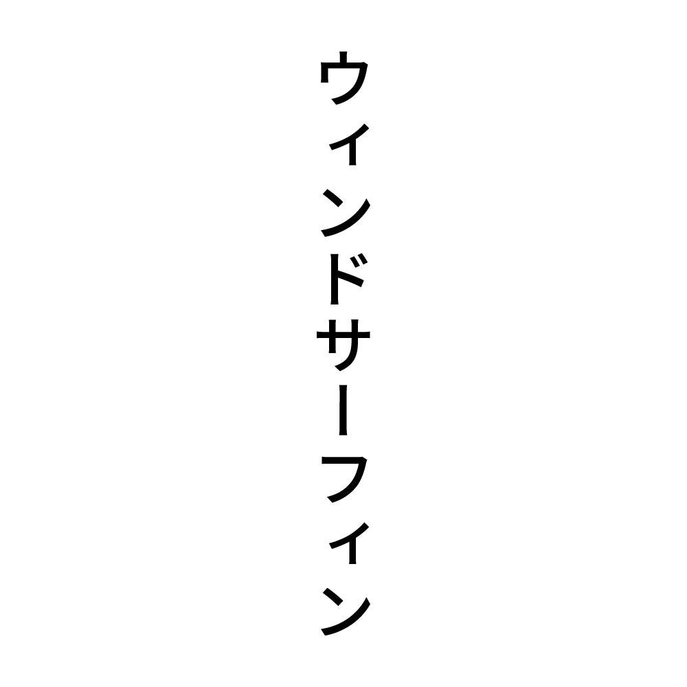 ウィンドサーフィン 縦