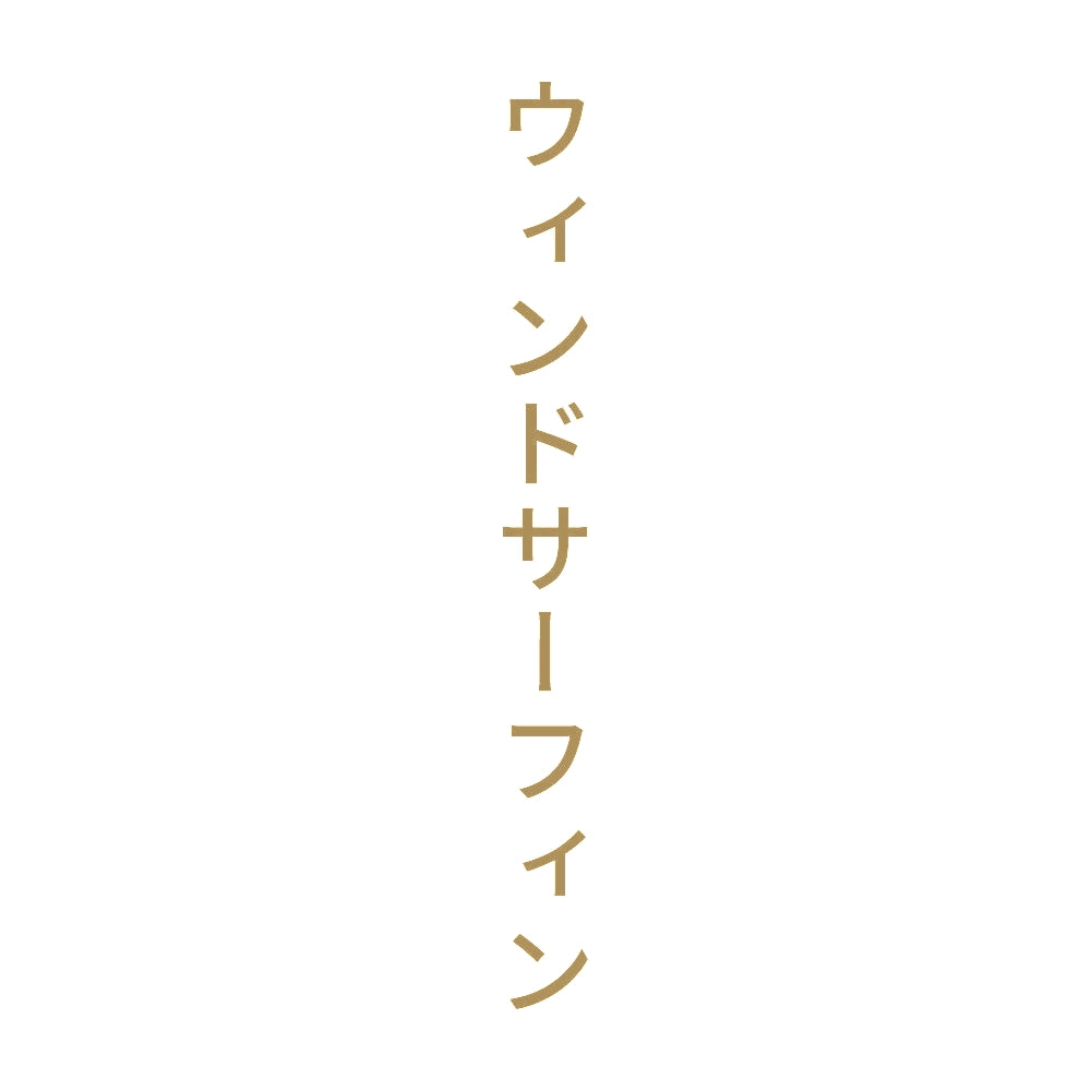 ウィンドサーフィン 縦