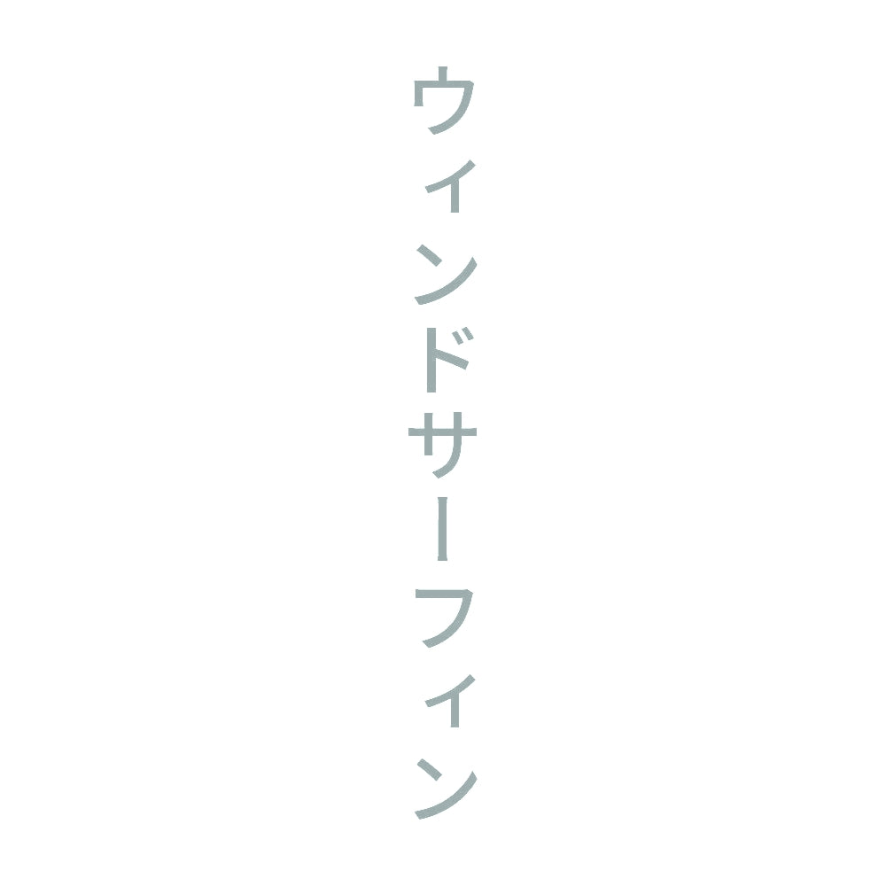 ウィンドサーフィン 縦
