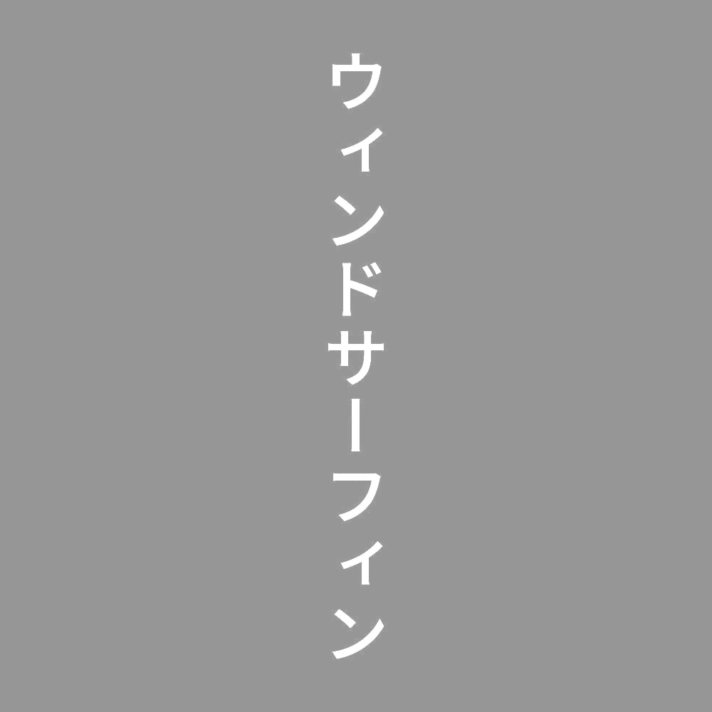 ウィンドサーフィン 縦