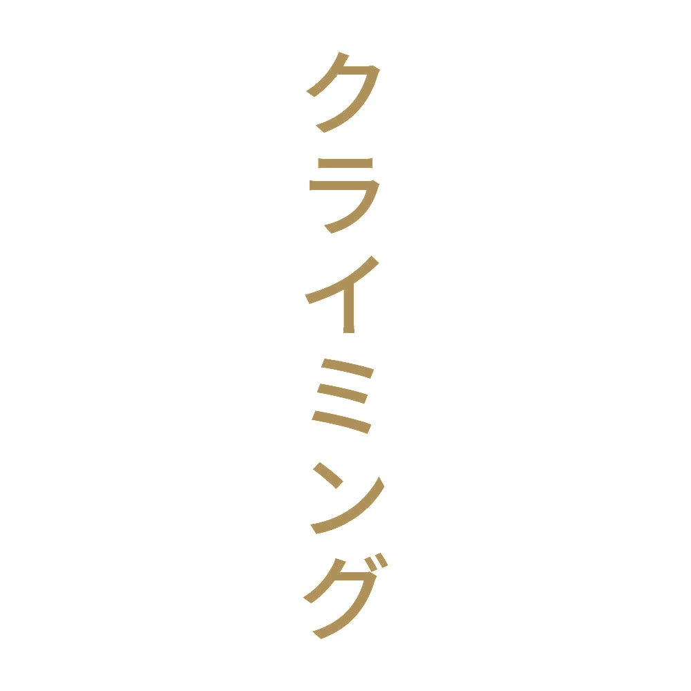 クライミング 縦
