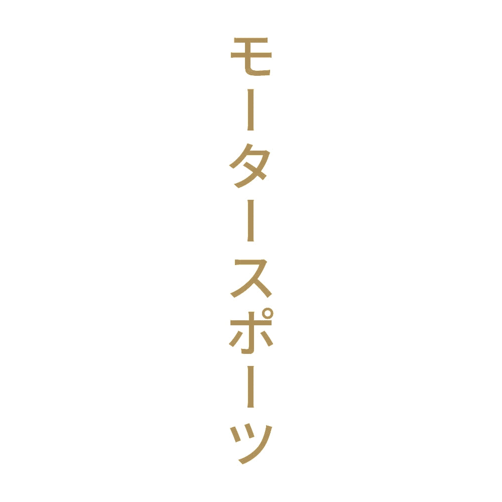 モータースポーツ 縦