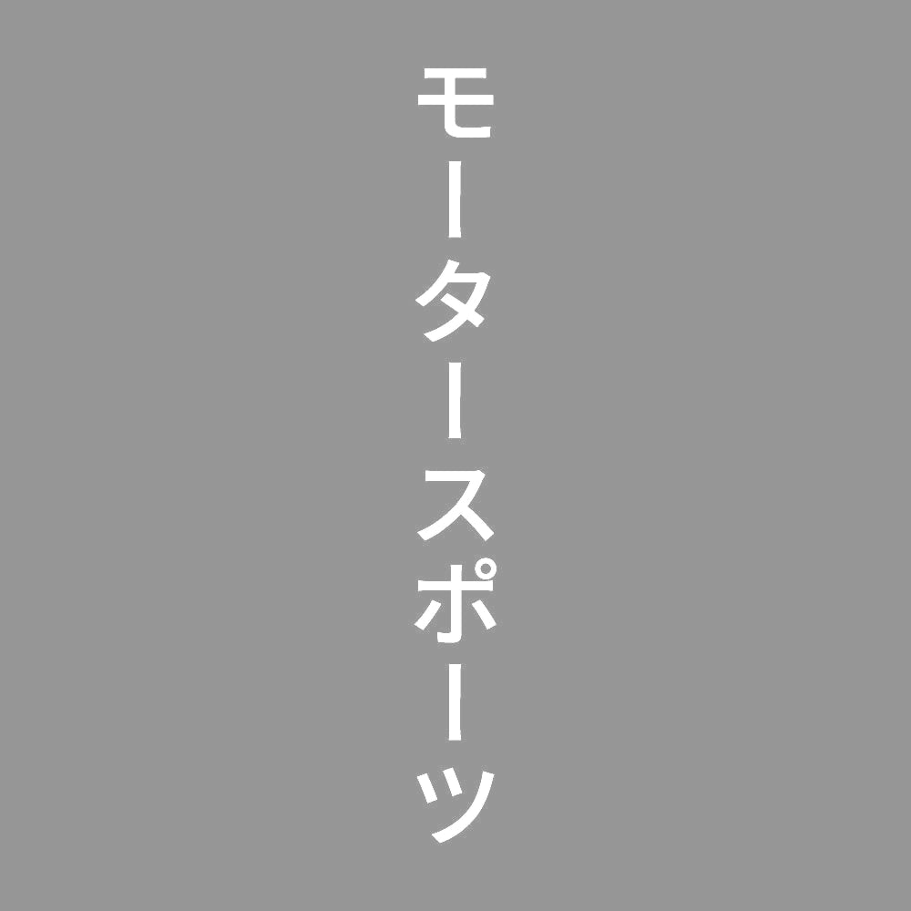 モータースポーツ 縦