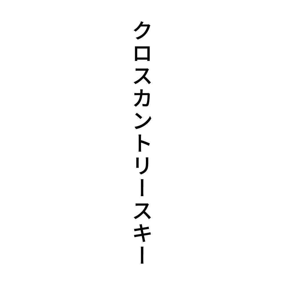 クロスカントリースキー 縦