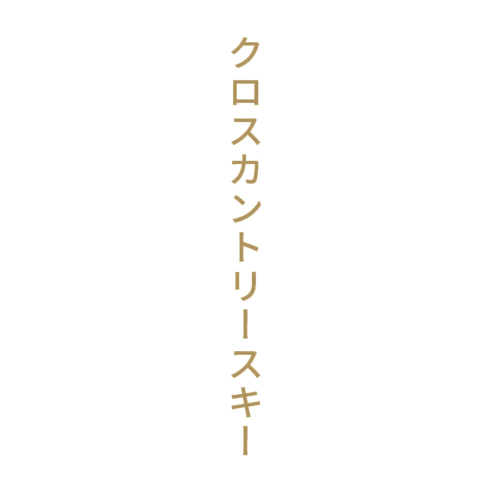 クロスカントリースキー 縦