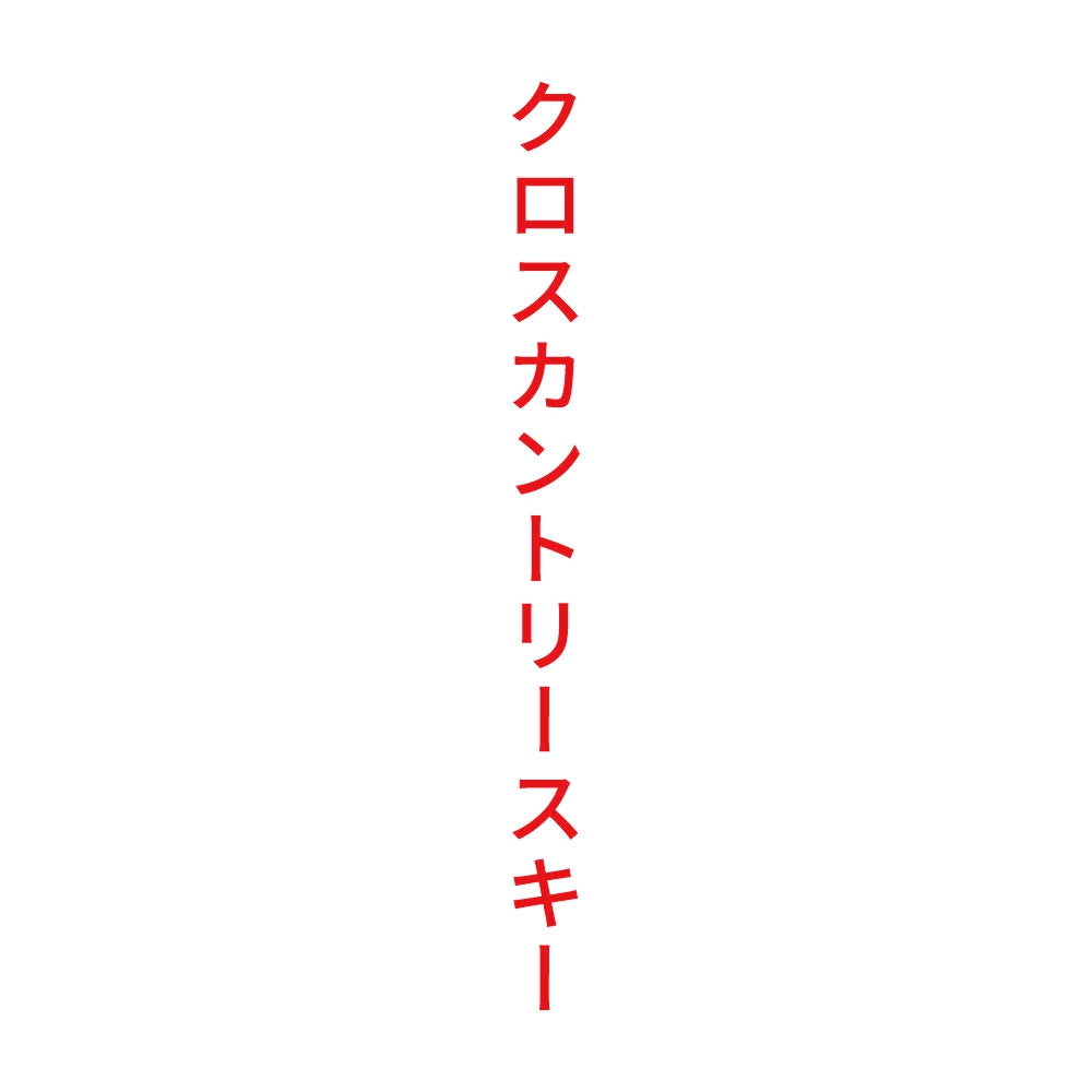 クロスカントリースキー 縦