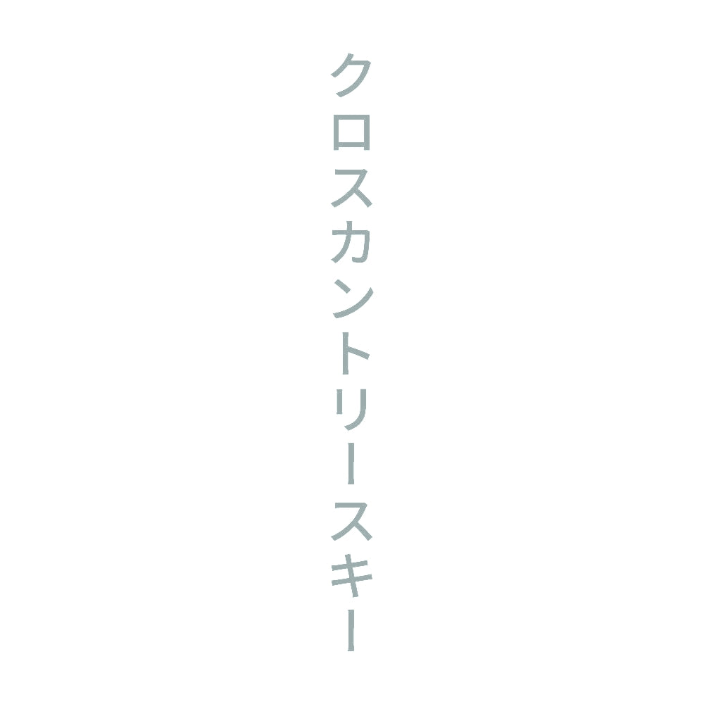 クロスカントリースキー 縦