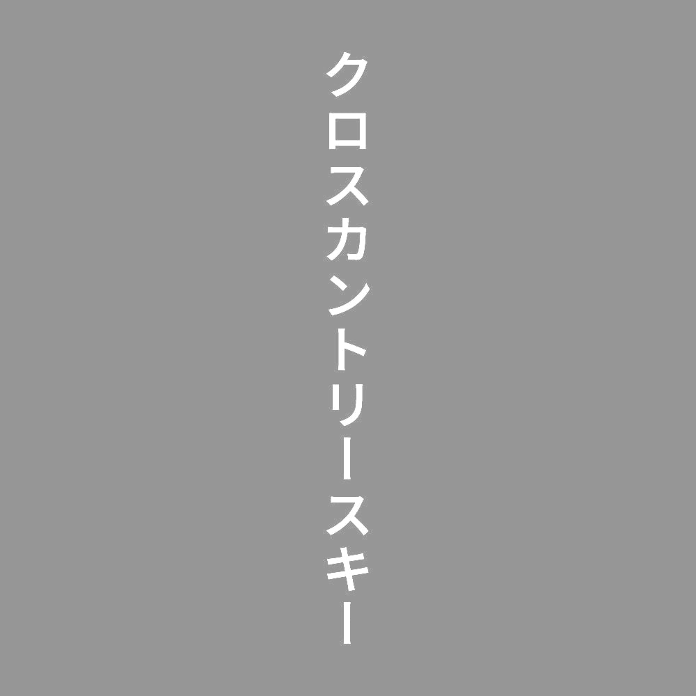 クロスカントリースキー 縦
