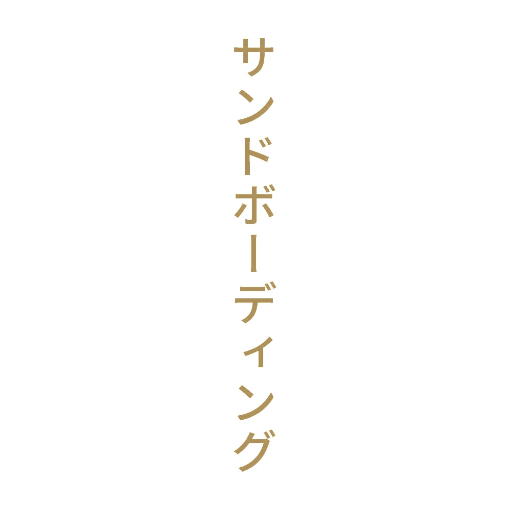 サンドボーディング 縦