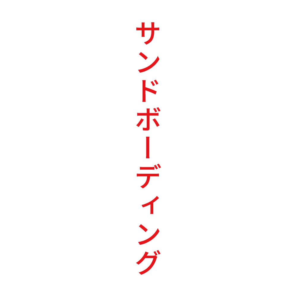 サンドボーディング 縦