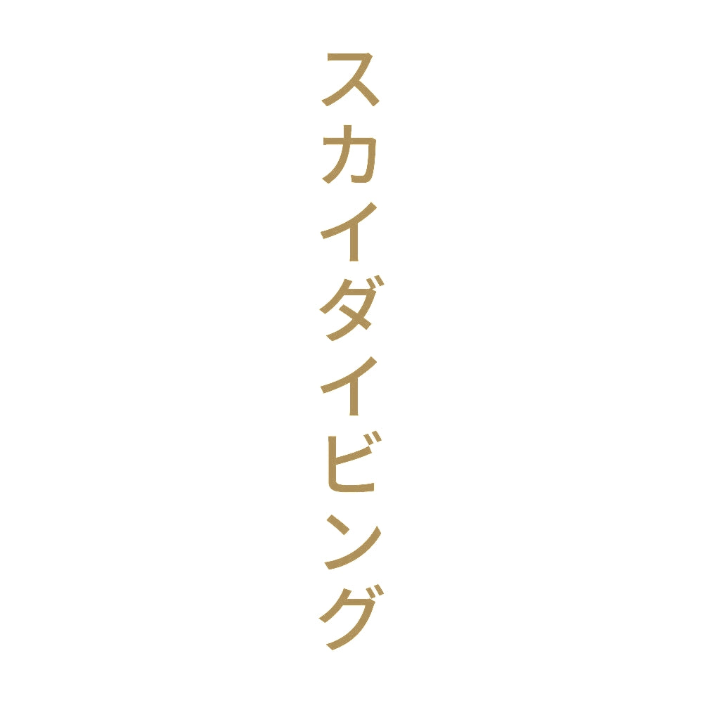 スカイダイビング 縦
