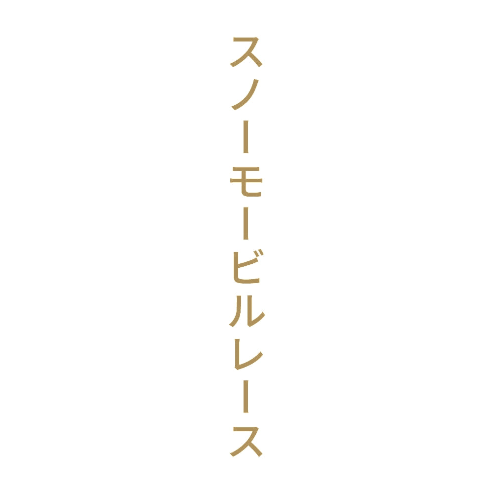 スノーモービルレース 縦
