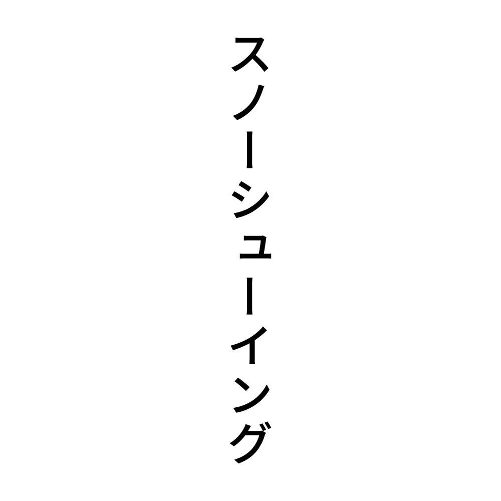 スノーシューイング 縦