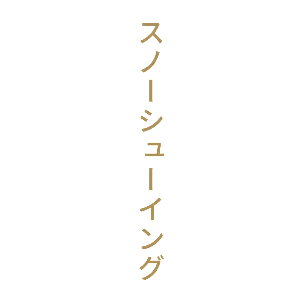スノーシューイング 縦