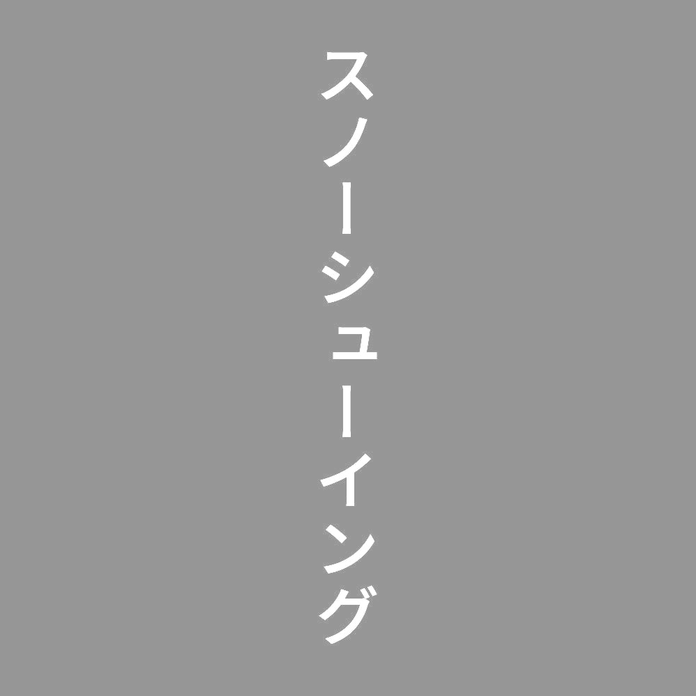 スノーシューイング 縦