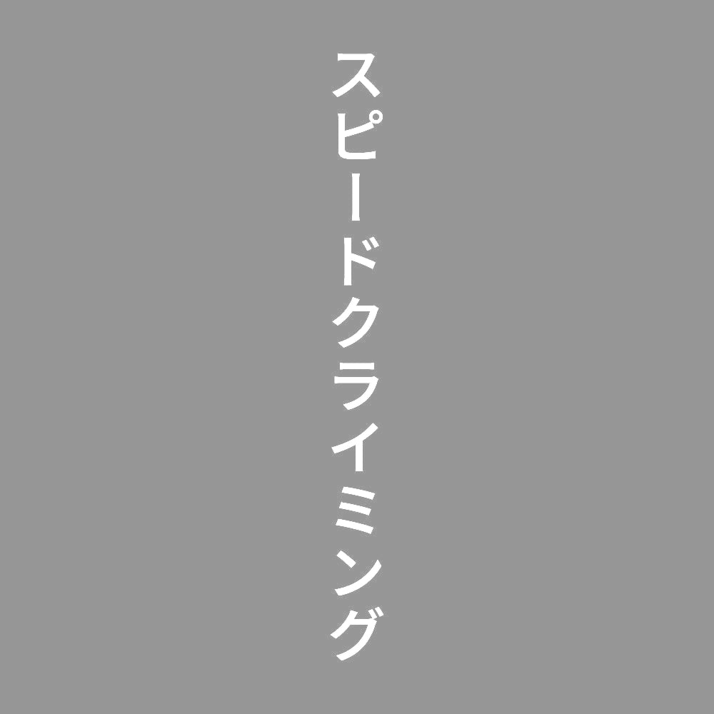 スピードクライミング 縦