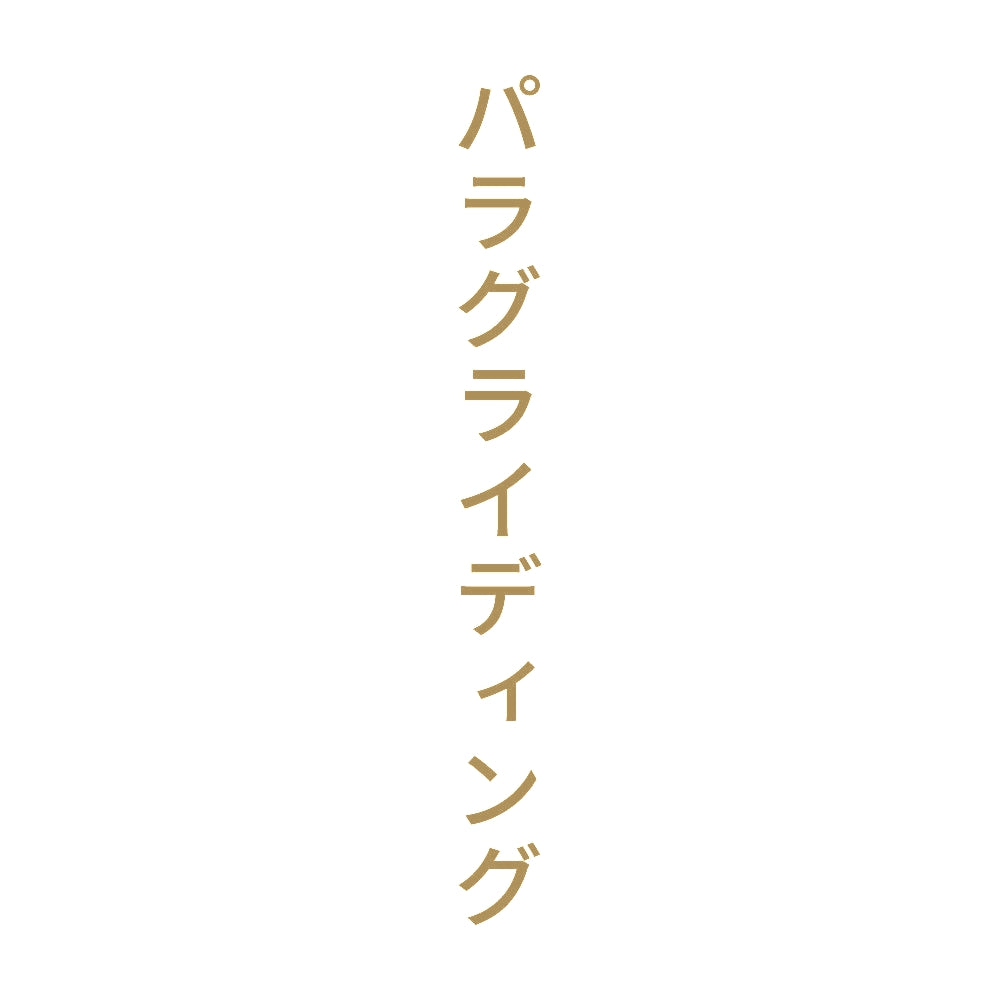 パラグライディング 縦
