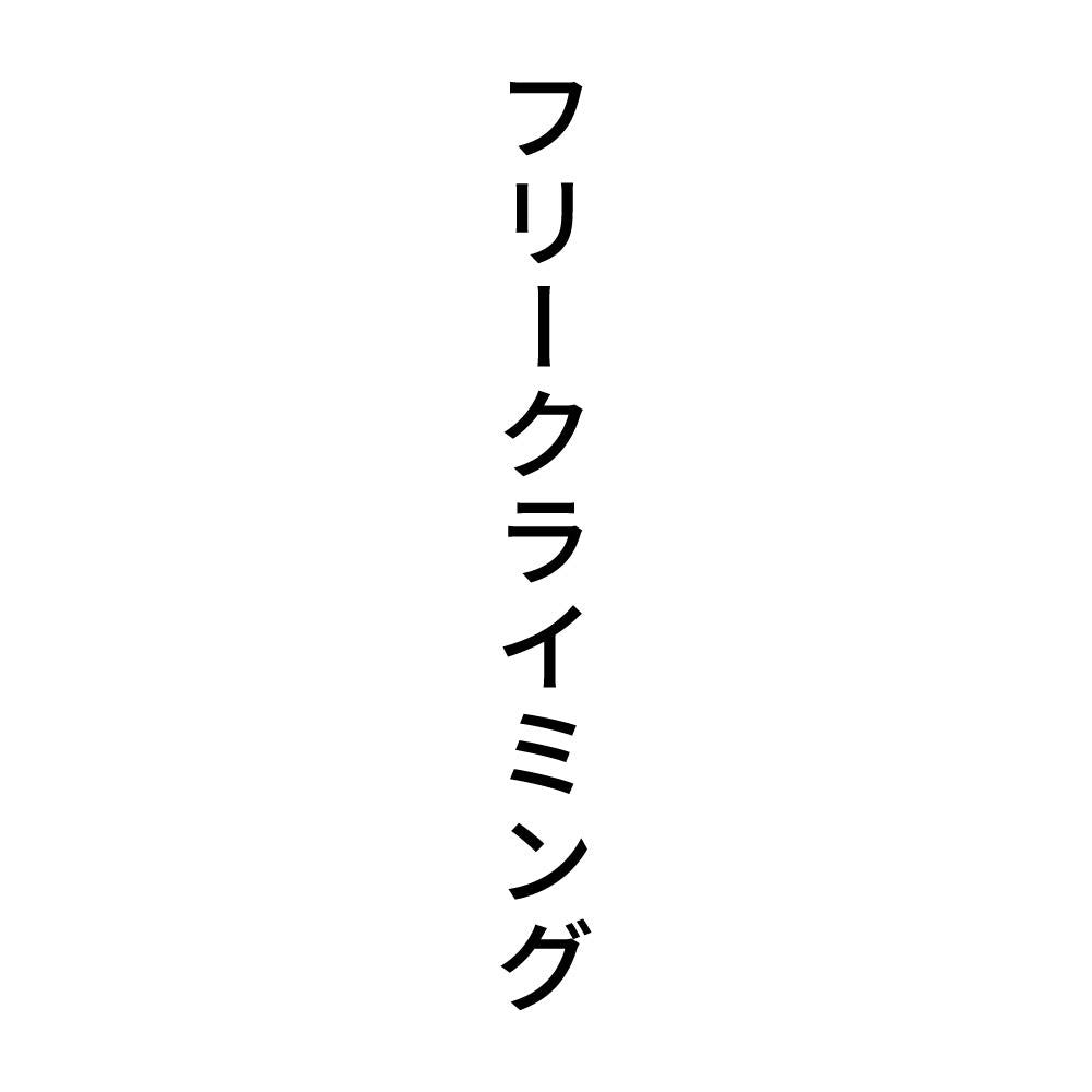 フリークライミング 縦