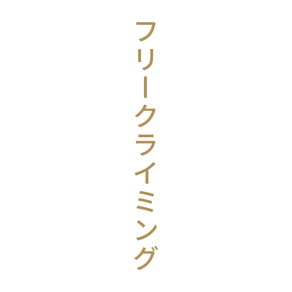 フリークライミング 縦