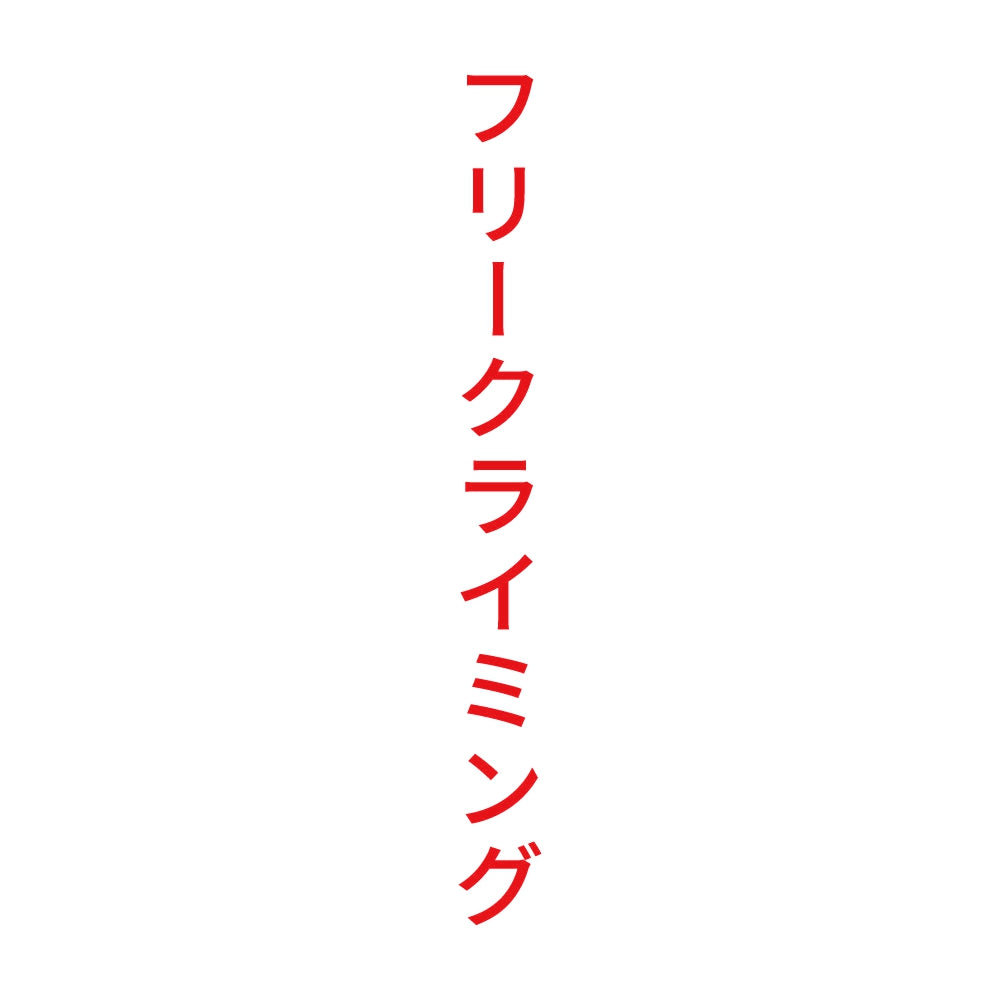 フリークライミング 縦
