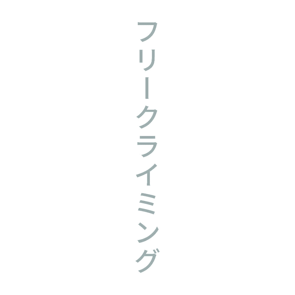 フリークライミング 縦