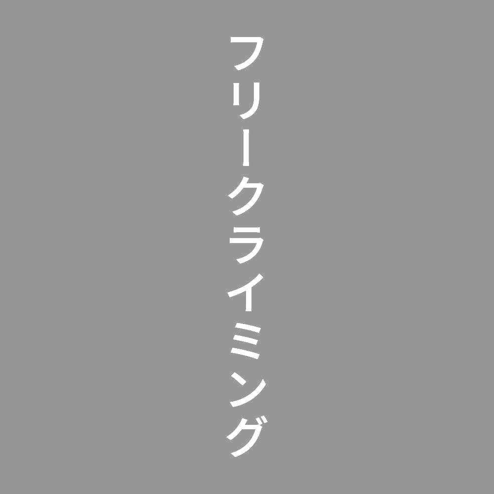 フリークライミング 縦