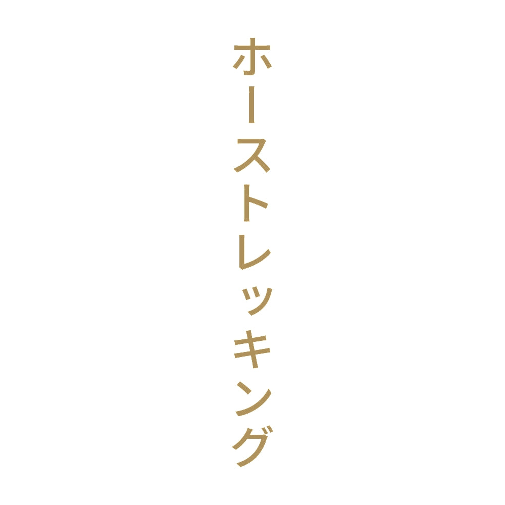 ホーストレッキング 縦
