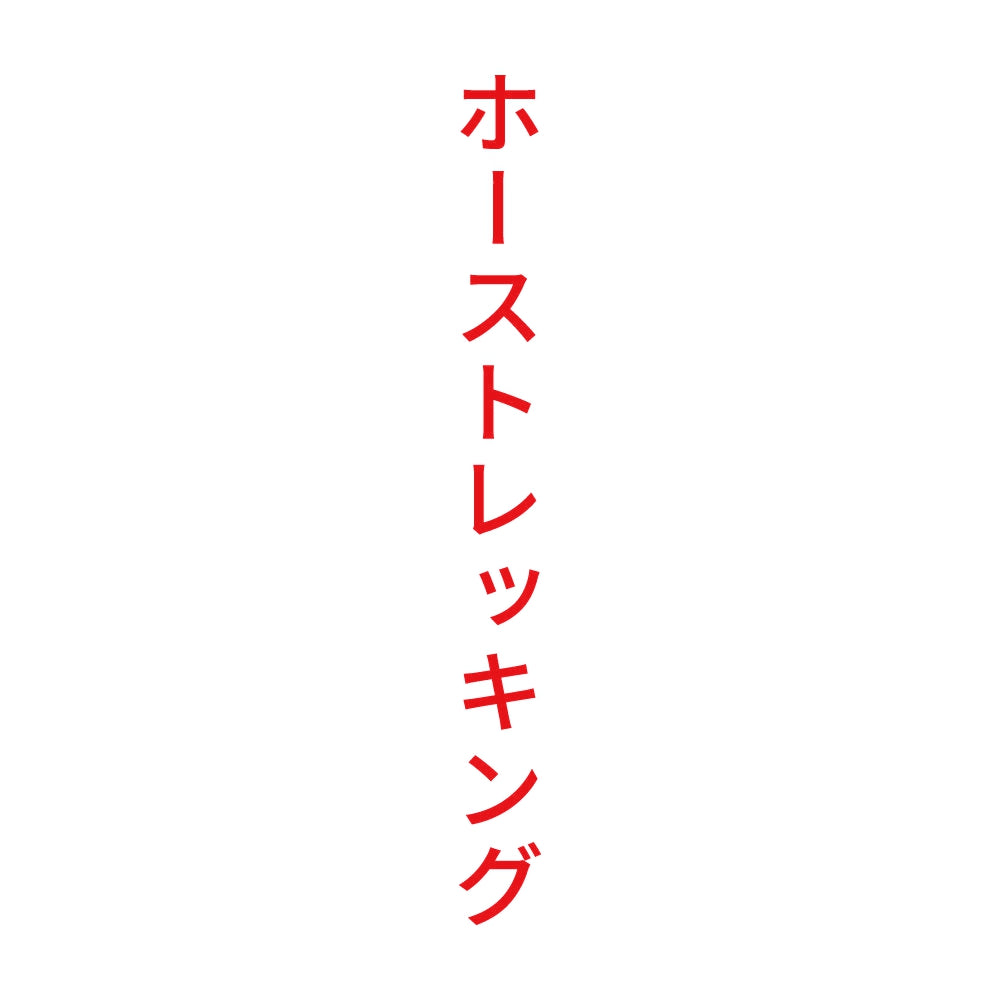 ホーストレッキング 縦