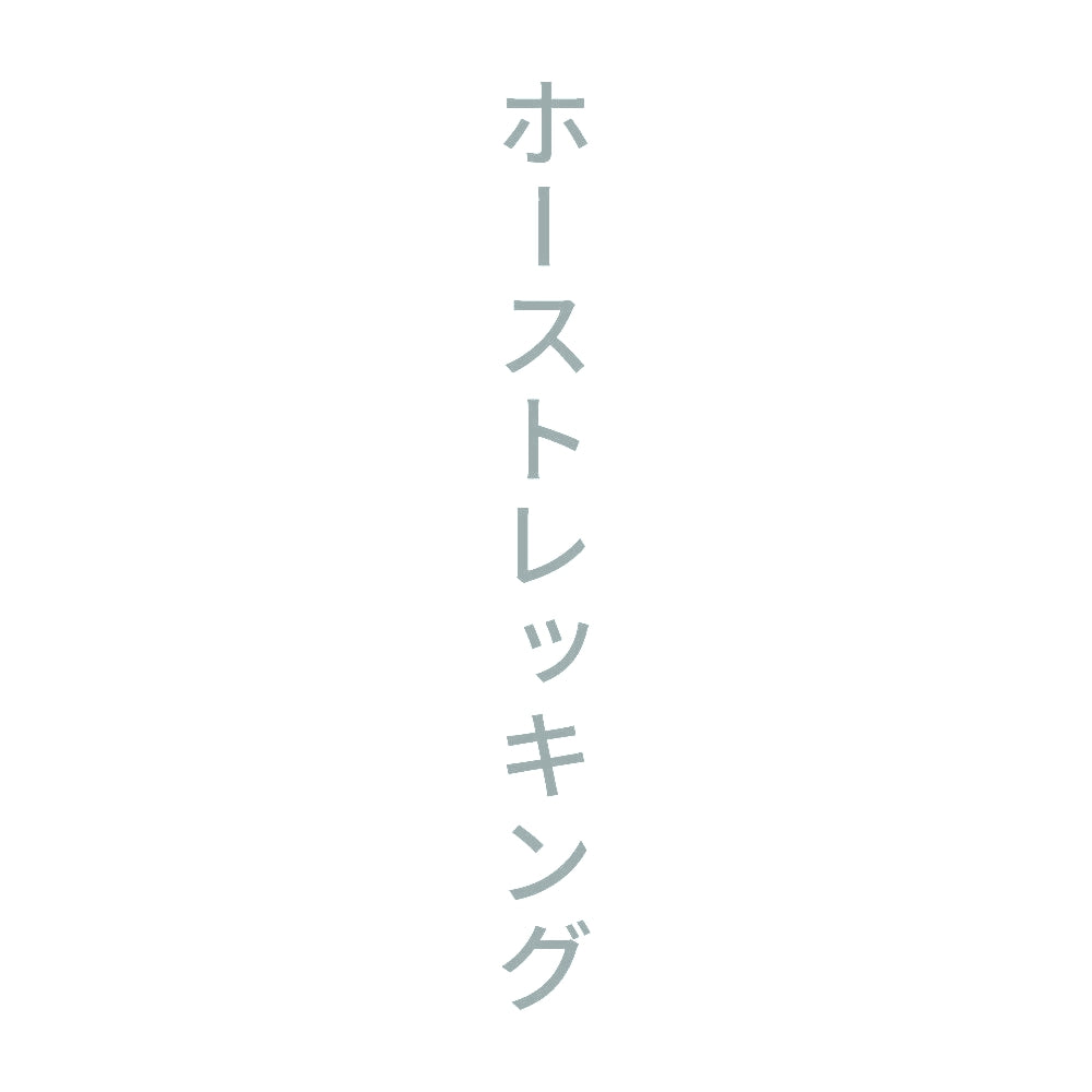 ホーストレッキング 縦