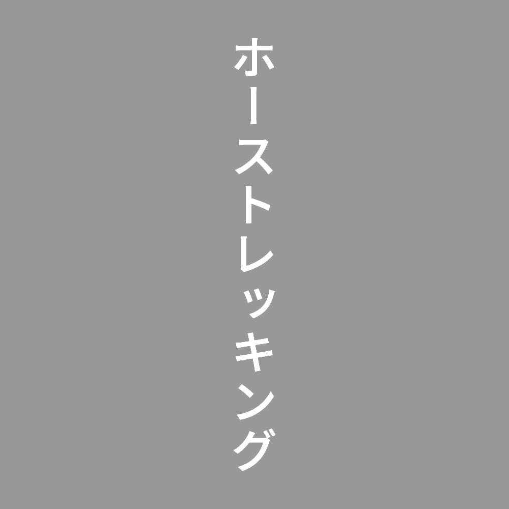 ホーストレッキング 縦