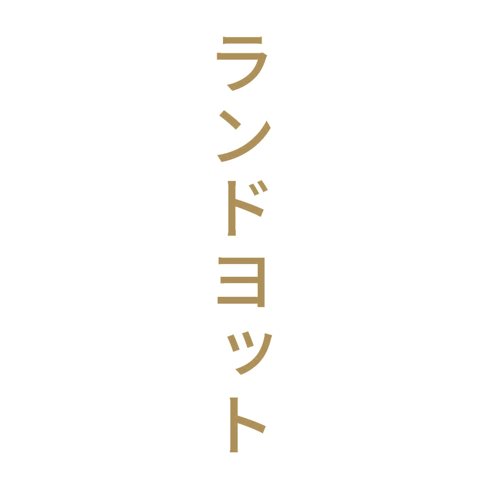 ランドヨット 縦