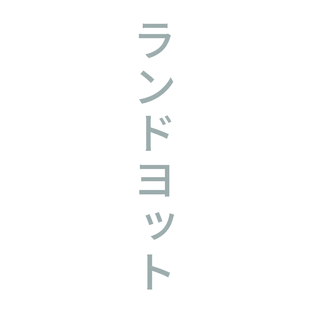 ランドヨット 縦