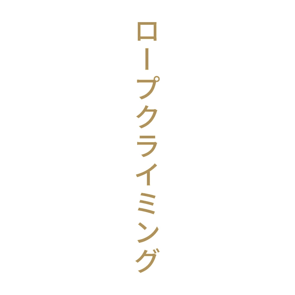 ロープクライミング 縦