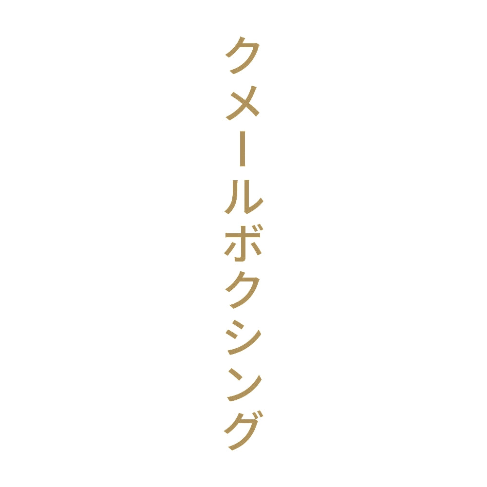 クメールボクシング 縦