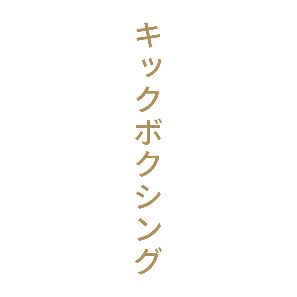 キックボクシング 縦